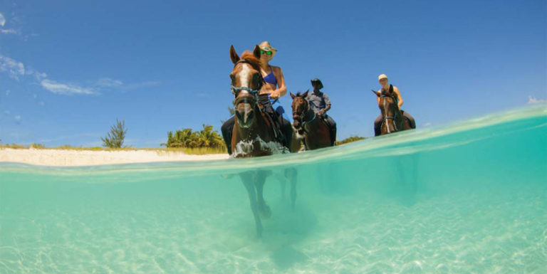 Sure Things at the Shore Club Turks and Caicos