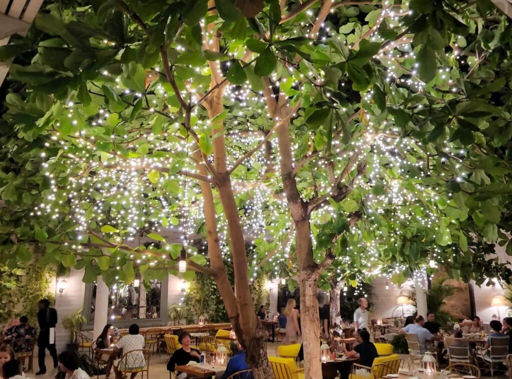 Almond Tree Shore Club