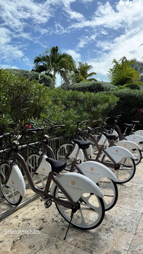 Shore Club Amenities